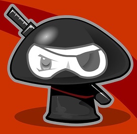 Pirate Ninja